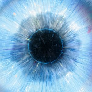 小说黑鬼留学生住进我家小说
