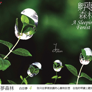 小说黑鬼留学生住进我家小说
