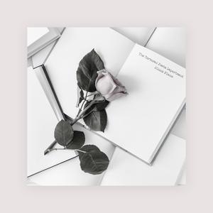 小说黑鬼留学生住进我家小说
