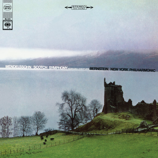 小说黑鬼留学生住进我家小说
